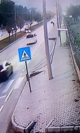 Yola çıkan kedi, kazaya neden oldu: 2 ölü, 3 yaralı / Ek fotoğraflar