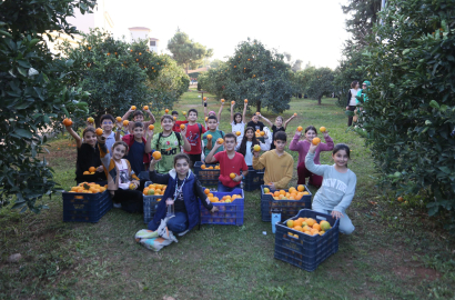 Dokumapark'tan toplanan portakallar ilçe halkıyla paylaşıldı