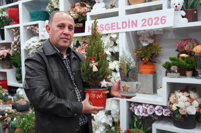 Yeni yıl sepetleri 3 bin liradan, canlı çamlar 1200 liradan alıcı buluyor