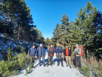Asırlık sedir ağaçlarına yürüyüş
