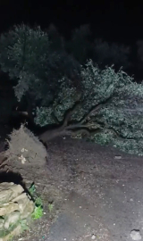 Antalya'da peş peşe hortumlar; seralar yıkıldı, çatılar uçtu/Ek fotoğraflar