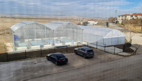 Jeotermal suyla karides ve balık üretilecek