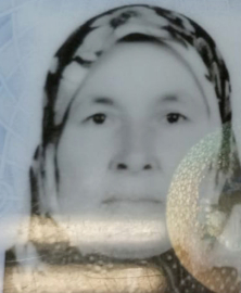 Kamyonet kasasından düşen kadın öldü