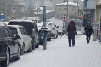 Ardahan’da kar yağışı etkili oldu