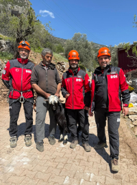 Kayalıkta mahsur kalan keçiler kurtarıldı