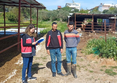 Yetiştiriciler buzağı ölümlerine karşı bilgilendirildi