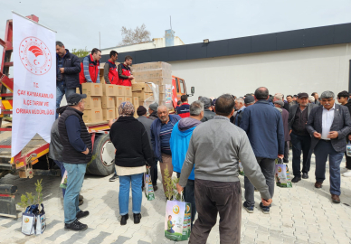 Kiraz üreticilerine sirke sineği tuzağı