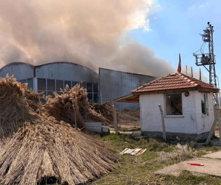 Kamış ürünleri deposunda yangın/ Ek fotoğraf