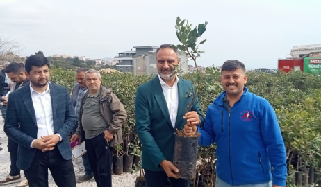 5 bin keçiboynuzu fidanı üreticilerle buluşturuldu