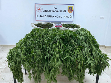 Serik’te uyuşturucu operasyonu: 1 tutuklu