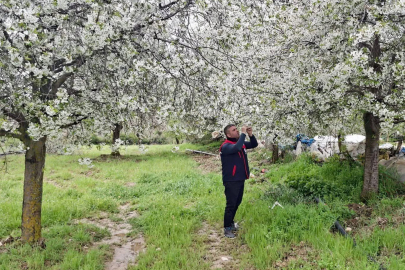Zirai don ve doğal afetlere karşı saha kontrolü 