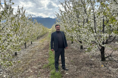 Zirai don endişesi yaşayan üreticiler rahat nefes aldı