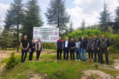 Okul saldırısında hayatını kaybedenler için hatıra ormanı 