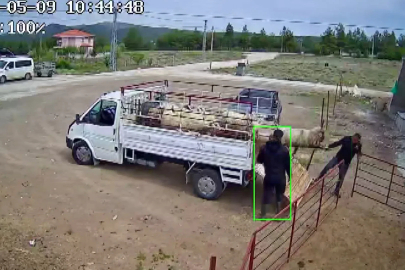 Koçun saldırısına uğrayan besici kamyonetten düştü
