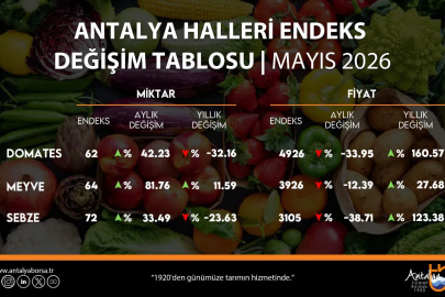 Antalya halleri domates, meyve ve sebze değişimleri