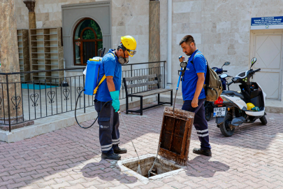 Vektörle mücadele aralıksız sürüyor