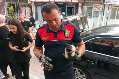 Otomobilin motoruna giren kedi güçlükle çıkarıldı