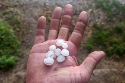 Eber kirazını dolu vurdu